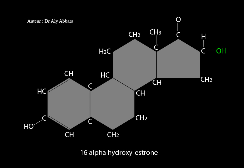 16 alpha hydroxy-estrone (16 α-hydroxy-œstrone) - dérivé du noyau d'estrane