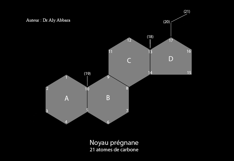 Noyau de prégnane